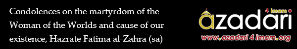 With the help of Imam Hussain (as), we are now planning for a much stronger and better project for 2014.